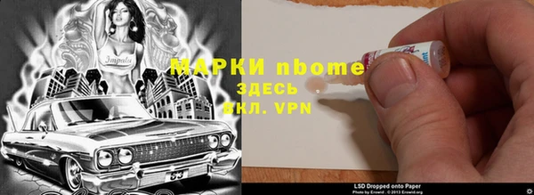 гашик Козловка