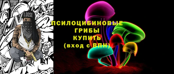 хмурый Костерёво