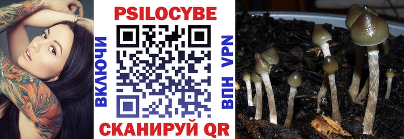 Псилоцибиновые грибы ЛСД Купить где Бутурлиновка